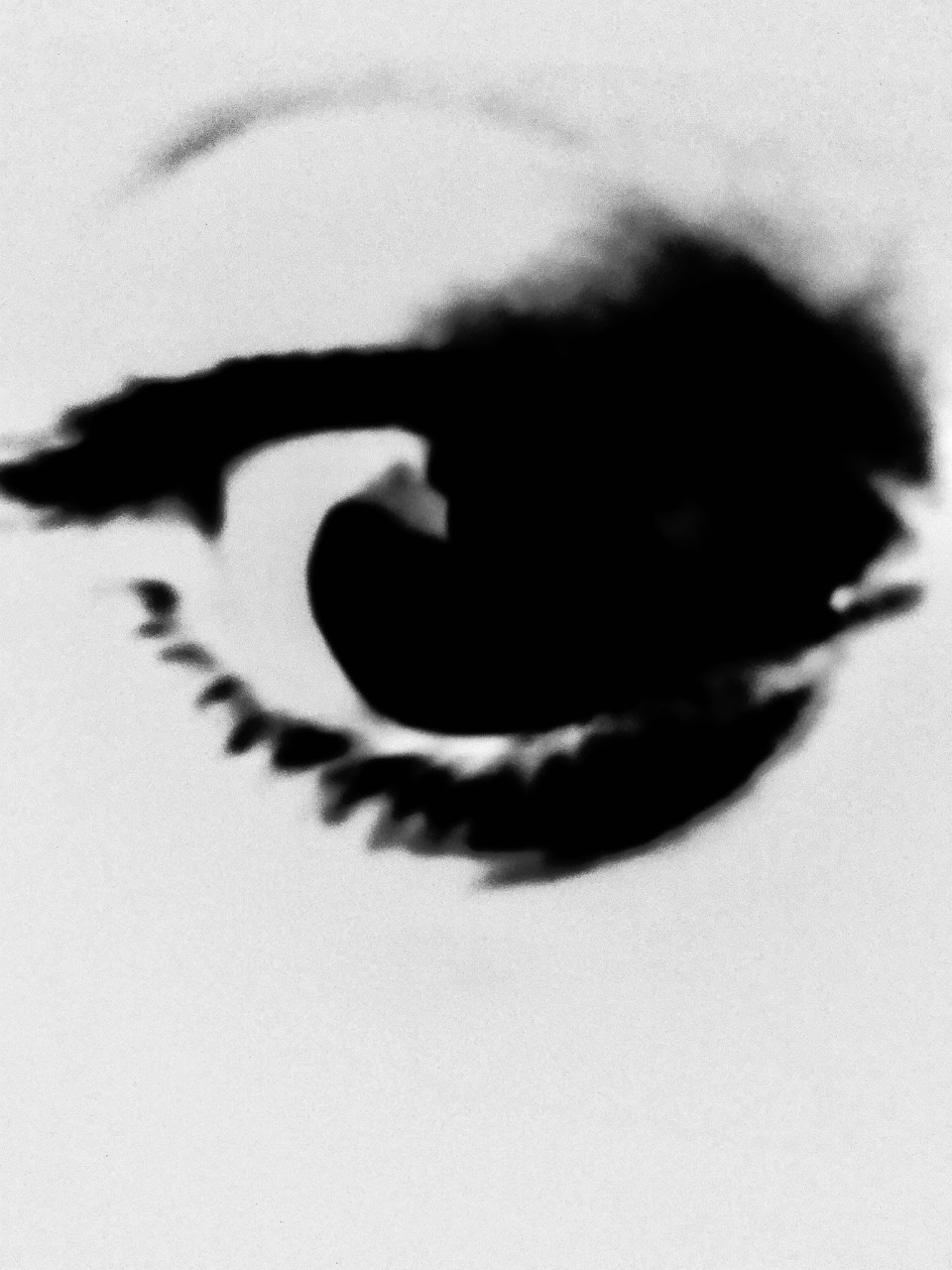 The artwork is a black and white photo, what appears to be an extreme close up of a single eye. The eye is perhaps wearing makeup – you can see the eyelashes and iris of the eye, but the photo has a blurry and unreal quality to it.