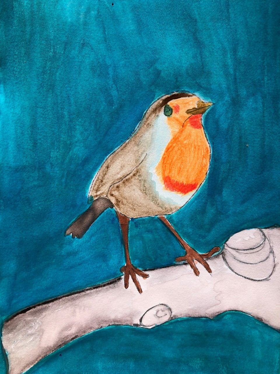 watercolor sketch of a brown, orange and white bird perched on the branch of a tree against a deep blue background