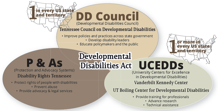 3 overlapping ovals show the connected relationship between councils on developmental disabilities, university centers for excellence in disabilities, and protection and advocacy agencies, which are created in each U.S. state by the DD Act