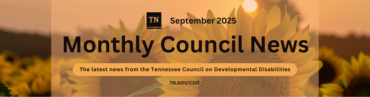 Banner image for the August 2025 issue of Monthly Council News from the Tennessee Council on Developmental Disabilities. The background shows soft white rays and water ripple patterns. The overall design evokes a summery, poolside feel. Text reads: June 2025 – Monthly Council News – The latest news from the Tennessee Council on Developmental Disabilities – TN.GOV/CDD.lu
