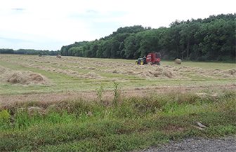 Photo of TSU Program With Offender Cultivating Mixed-Grass Hay