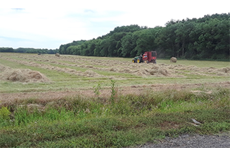Photo of TSU Program With Offender Cultivating Mixed-Grass Hay Photo of TSU Program With Offender Cultivating Mixed-Grass Hay