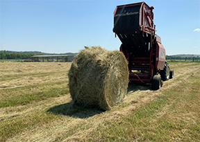 Photo of Equipment and Rolled Mixed-Grass Hay