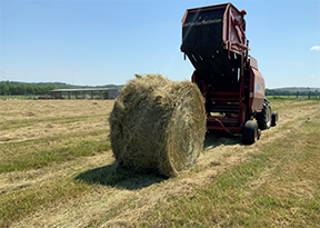 Photo of Equipment and Rolled Mixed-Grass Hay Photo of Equipment and Rolled Mixed-Grass Hay