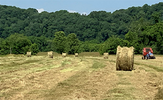 Photo of Mixed-Grass Hay Being Rolled