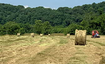 Photo of Mixed-Grass Hay Being Rolled Photo of Mixed-Grass Hay Being Rolled