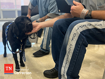 Photo of Dog With Handler