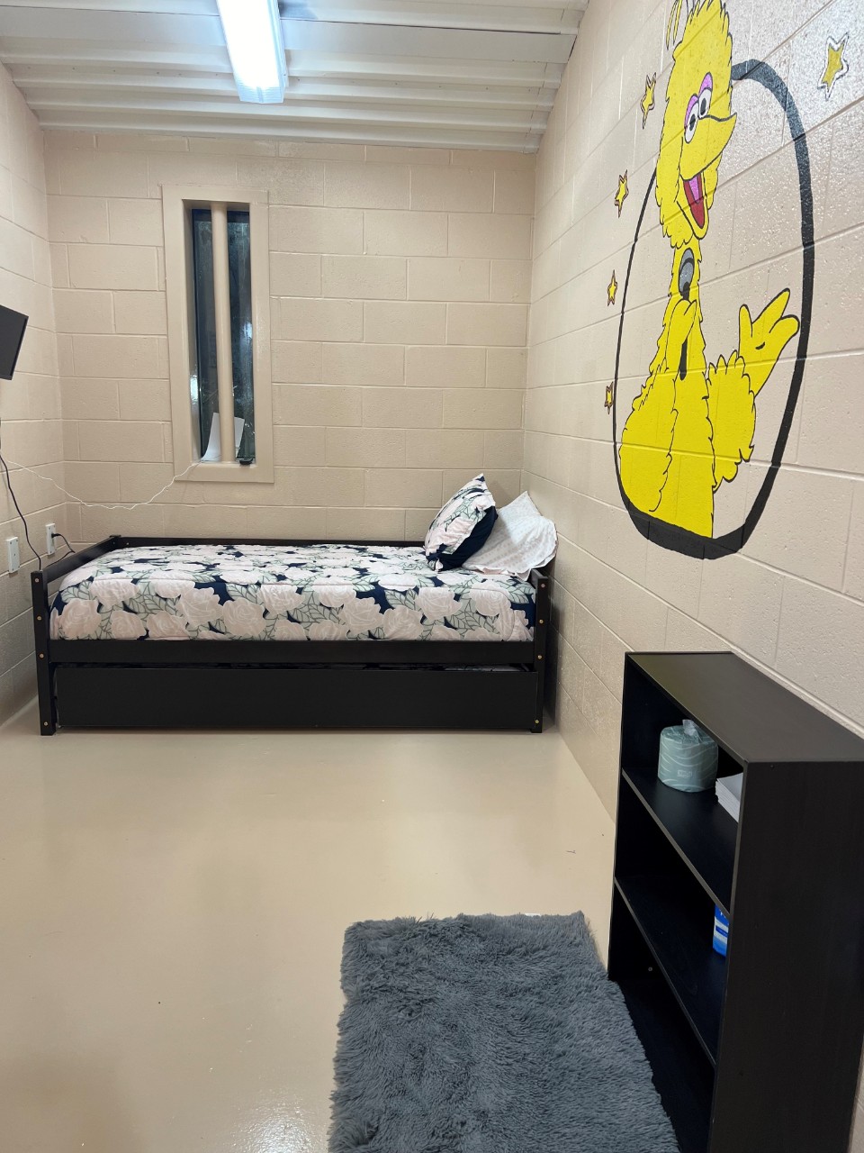 Photo of an Overnight Child Visitation Room with Bed