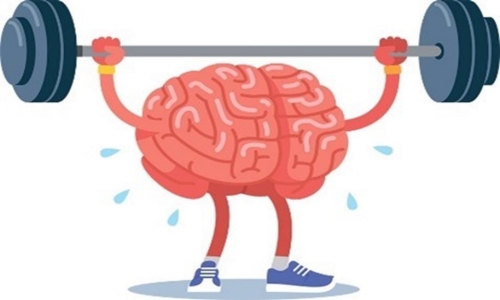 Workout Your Brain