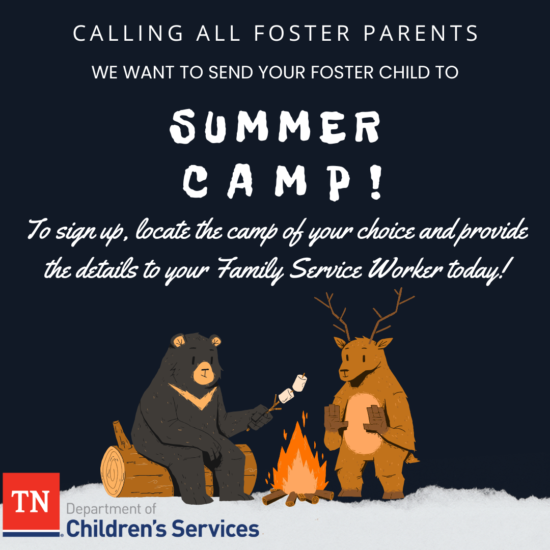 Summer Camp DCS Summer Camp Info