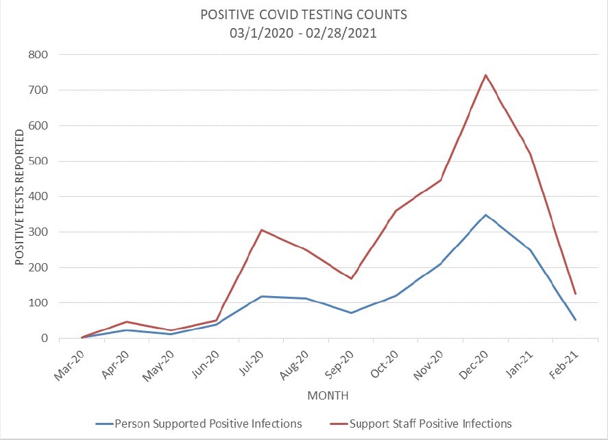 Annotation 2021-03-08 130818 graph of positive covid testing counts