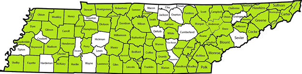 Alcoa City, Alcy Academy, Anderson County, Arlington Community Schools, Bartlett City, Bedford County, Benton County, Bledsoe County, Blount County, Bradley County, Brinkley Heights Urban Academy, Bristol City , Campbell County, Cannon County, Carroll County Consortium, Carter County, Cheatham County, Chester County, Circles of Success Learning Academy, Claiborne County, Coffee County, Collierville, Dayton City, Davidson County, Dickson County, Dyer County, Dyersburg City, Elizabethton City, Etowah City, Fayette County, Florence Crittenton Agency, Franklin County, FranklinSpecial School District (SSD), Free Will Baptist Ministries, Germantown Municipal Schools, Giles County, Greene County, Grundy County, Hamblen County, Hamilton County, Hancock County, Hardin County, Hawkins County, Haywood County, Henderson County, Henry County, Humboldt City, Humphreys County, Jefferson County, Johnson City, Johnson County, Kingsport City, Knox County, Lake County, Lauderdale County, Lawrence County, Lenoir City, Madison County, Manchester City, Marshall County, Maryville City, Maury County, McNairy County, Milan SSD, Millington, Monroe County, Montgomery County, Moore County, Morgan County, Murfreesboro City, Newport City, Oak Ridge City, Oneida SSD, Perry County, Polk County, Putnam County, Rhea County, Roane County, Robertson County, Rogersville City, Rutherford County, Sacred Heart School-Lawrenceburg, Saint Anne Catholic School, Scott County, Shelby County Schools, Smith County, Stewart County, Sullivan County, Sumner County, Sweetwater City, Trenton SSD, Trousdale County, Tullahoma City, Unicoi County, Union City, Union County, Warren County, Washington County, Weakley County, White County, Williamson County, Wilson County