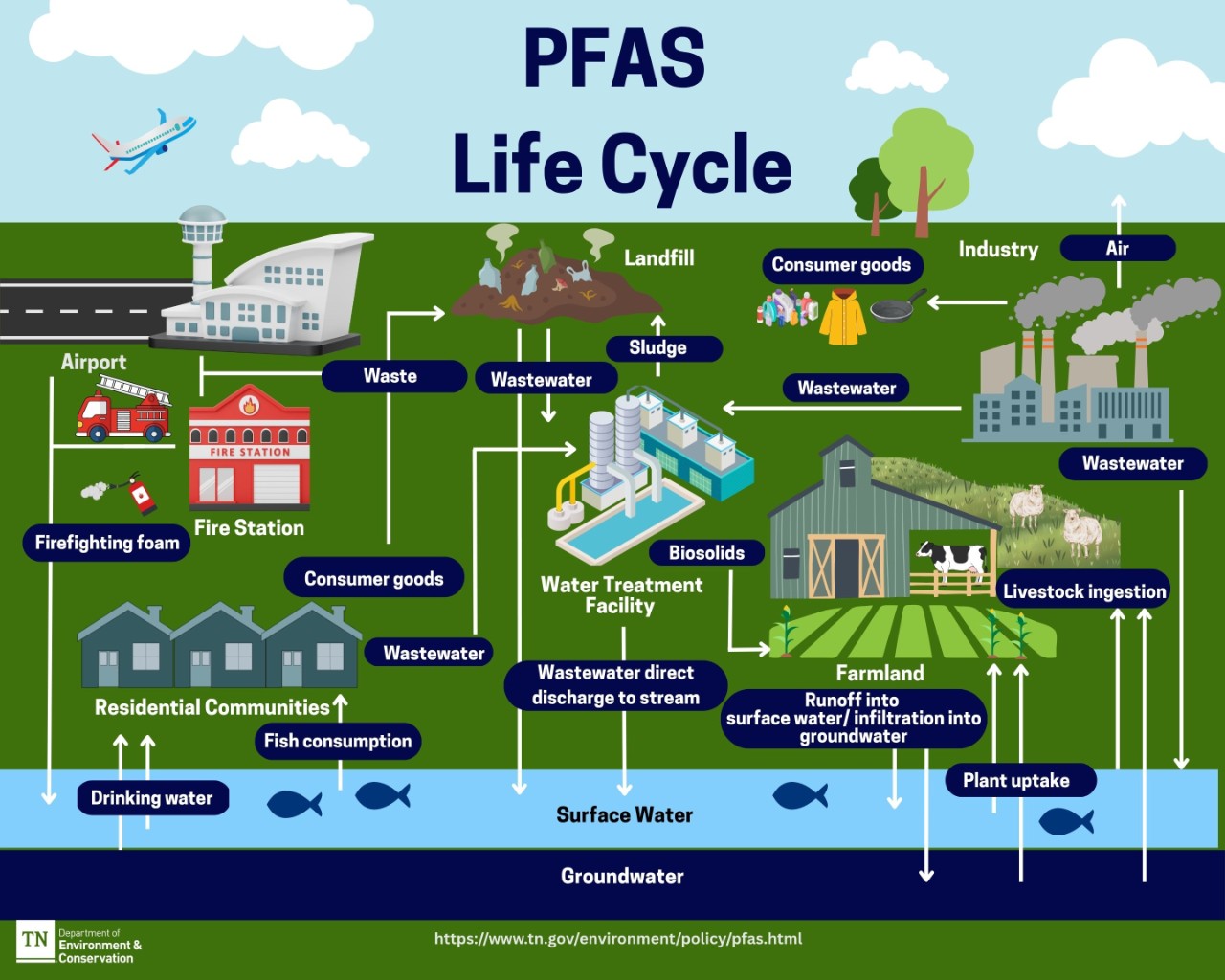 PFAS Cycle