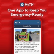 My TN Application interface