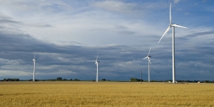 Image of wind turbines in a field