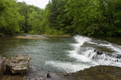 Spring Creek Scenic River