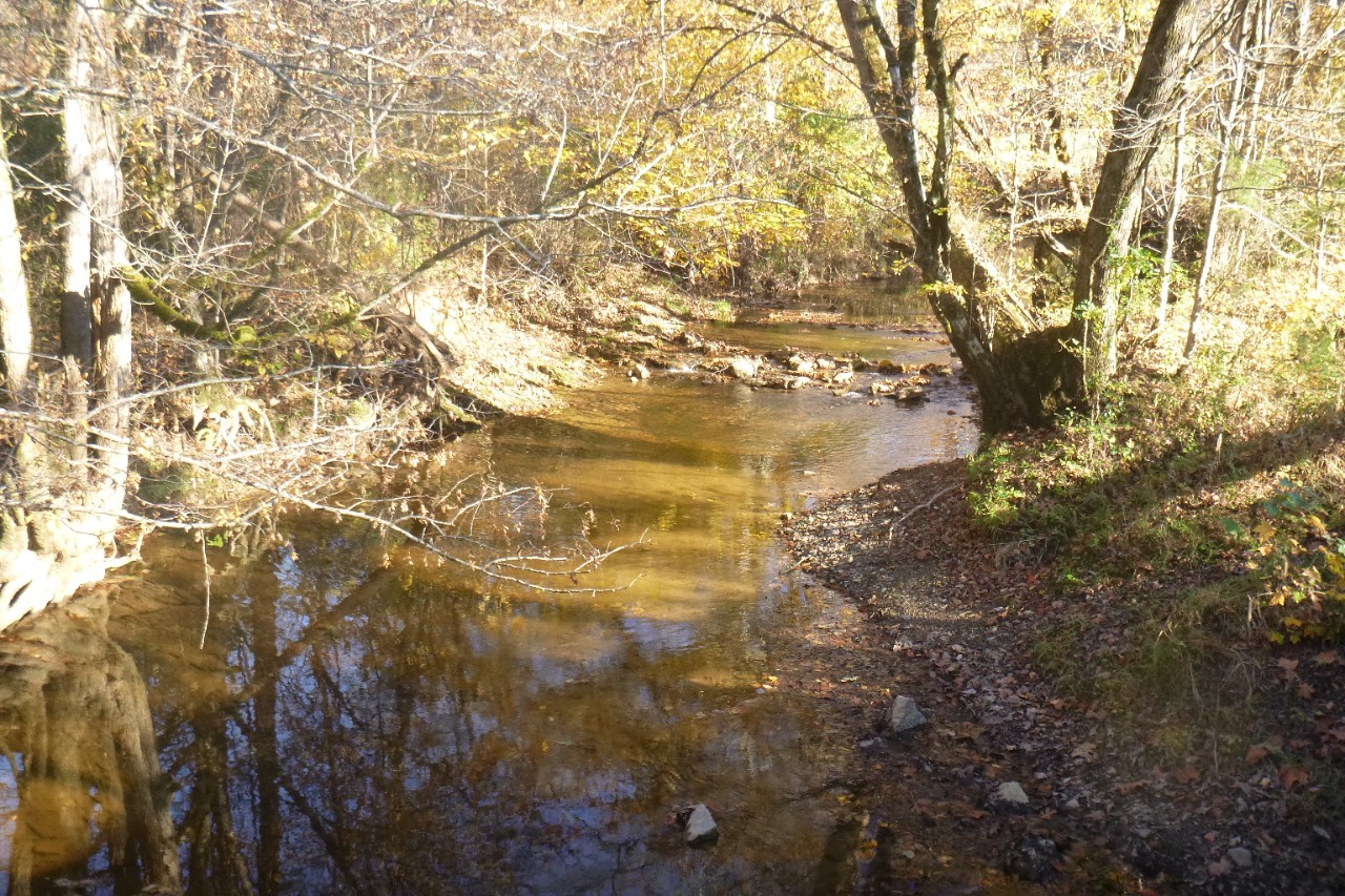 Tuckahoe Creek Scenic River