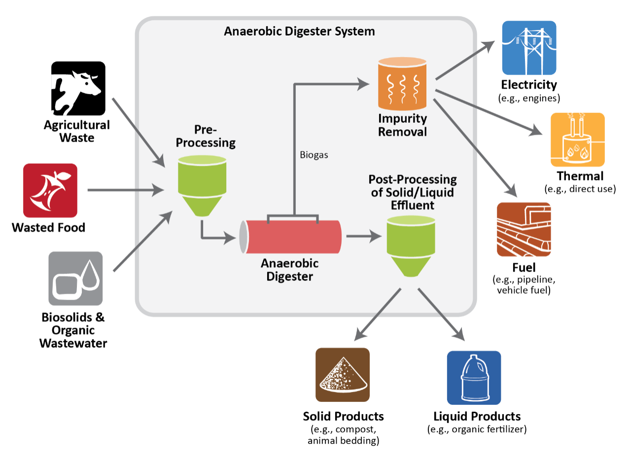 Anaerobic Digestion System Components image shows various feedstocks (agricultural waste, wasted food, sewage sludge and high strength wastewater) going into Pre-Processing, then to Anaerobic Digester. Biogas comes out and goes to Impurity Removal then to Electricity (eg, engines), Thermal (eg, direct use), and Fuel (eg, pipeline, vehicle fuel). The Anaerobic digester also leads to Post-Professing of Solid/Liquid Effluent which leads to Solid Products (eg, soil amendment, animal bedding) and Liquid Products (eg, organic fertilizer)