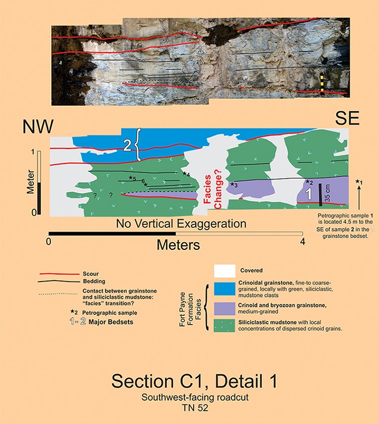 section-c1-detail1