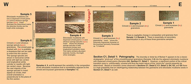 section-c1-detail1-facies-change-petrography