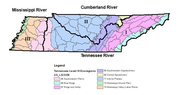 Figure-Major River Basins and Ecoregions in Tennessee