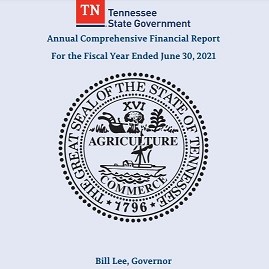 Annual Financial Report Cover with State Seal