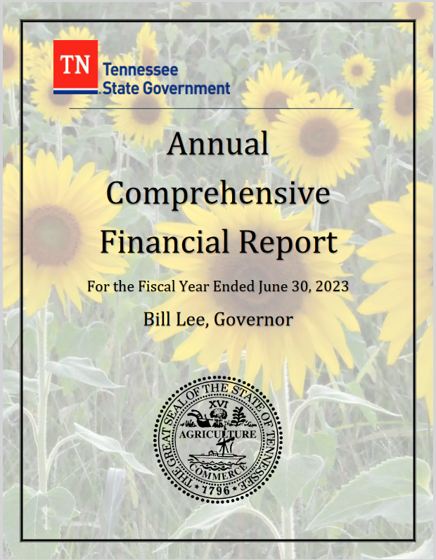 Tennessee financial report 