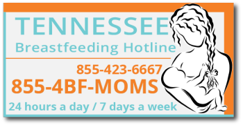 Tennessee Breast Feeding Hotline 855-423-6667