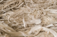 photo of asbestos fibers