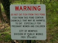 photograph of a warning sign