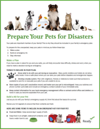 Ready.gov Prepare Your Pets for Disasters