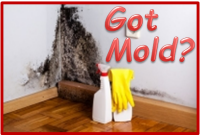 mold grows on a wall with cleaning supplies to remove it