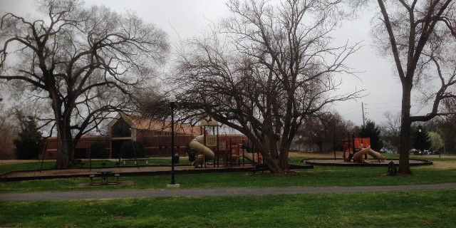 photograph of playground and picnic area at the Smyrna Public Library