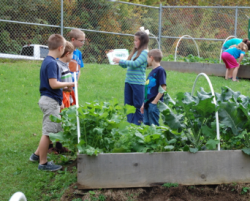 photo of children planting vegetables in a school garden