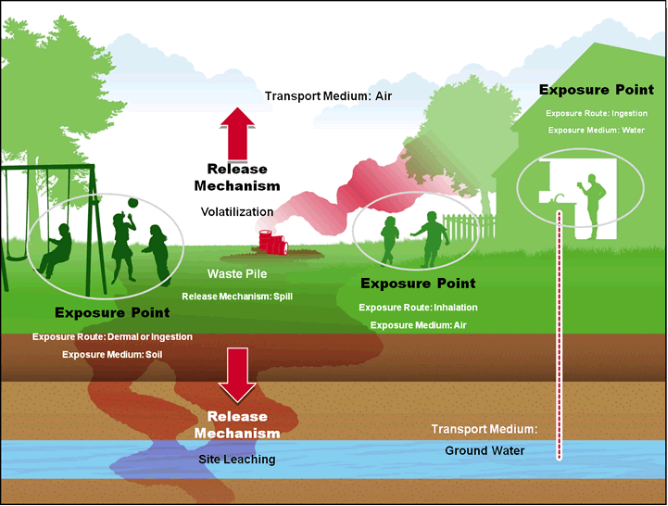 illustration of how people can be exposed to pollution
