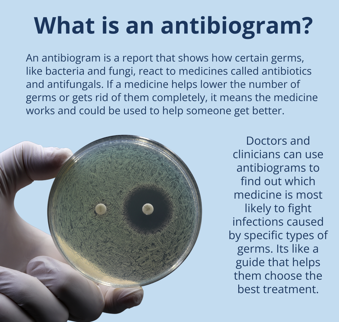 What is an antibiogram? An image of a gloved hand holding a petri dish against a solid blue background, with text that reads, "What is an antibiogram? An antibiogram is a report that shows how certain germs, like bacteria and fungi, react to medicines called antibiotics and antifungals. If a medicine helps lower the number of germs or gets rid of them completely, it means the medicine works and could be used to help someone get better. Doctors and clinicians can use antibiograms to find out which medicine is most likely to fight infections caused by specific types of germs. It's like a guide that helps them choose the best treatment."