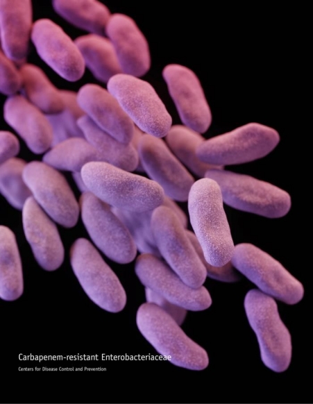 Enterobacteriaceae: Carbapenem-Resistant (CRE)