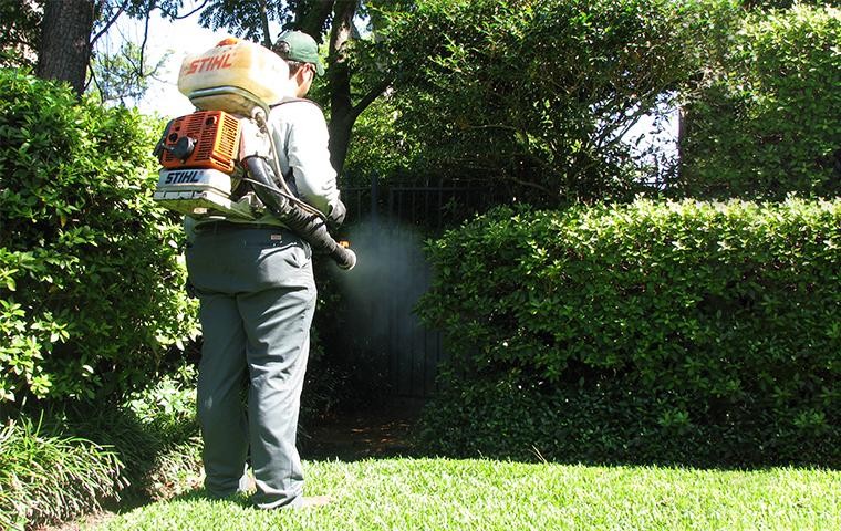 Person spraying adulticide chemicals on a lawn