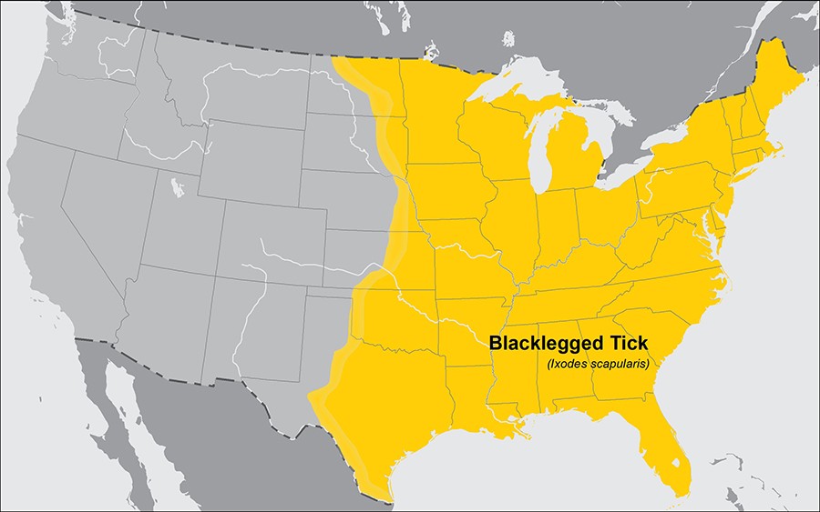 Black legged tick distribution
