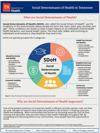 To read the full report click here. To read the full report click here.