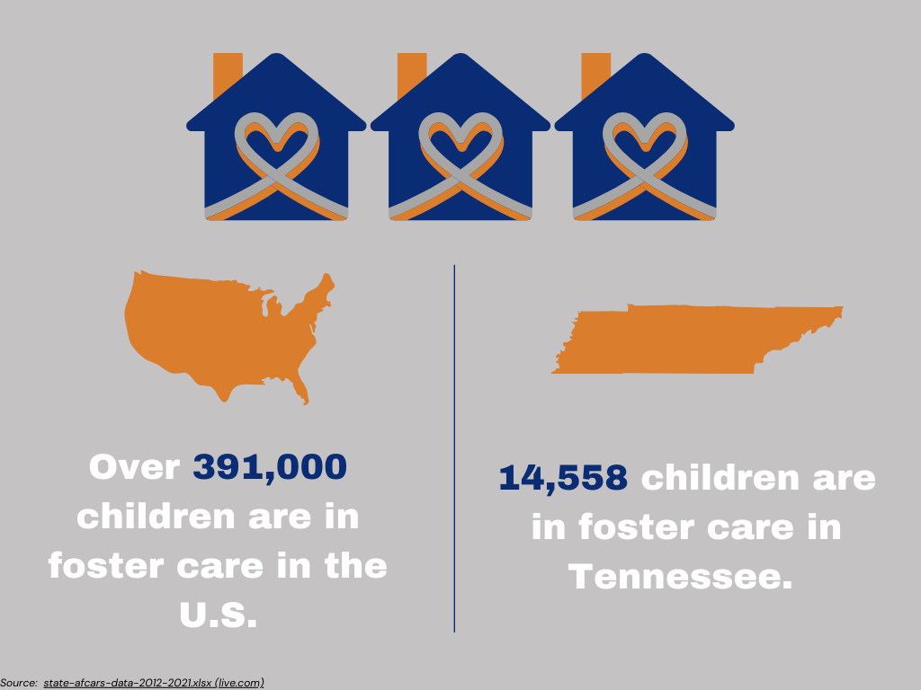 community supported schools - CSS - TN foster care