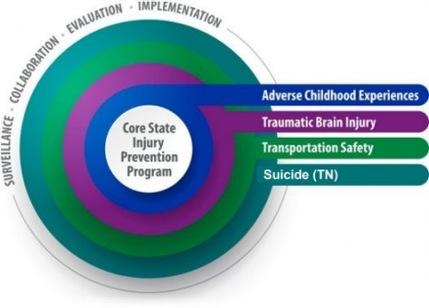 Core State Injury Prevention Program Focus Areas