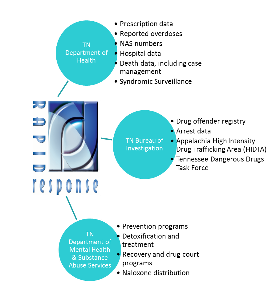 rapidresponse rapidresponse