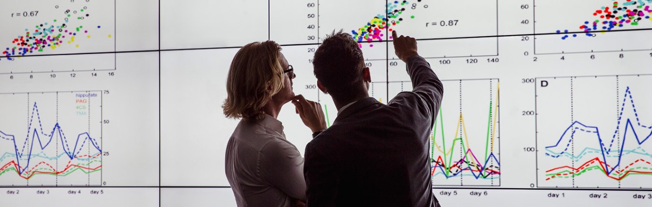 Employees inspecting and analyzing data. 