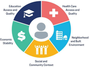 The Five Domains of SDOH