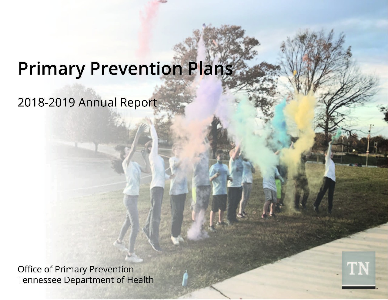Primary Prevention Plans Annual Report 2018-2019 Cover Image