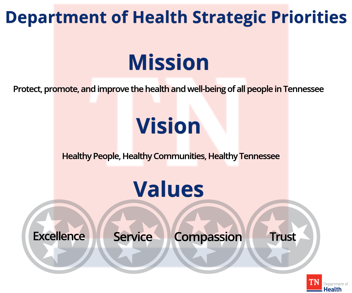 TDH's Mission, Vision, Values, and Strategic Priority Areas