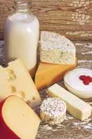 milk_cheese