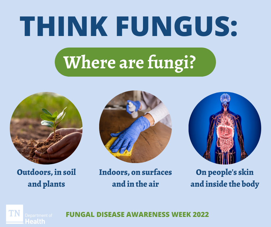 Think Fungus