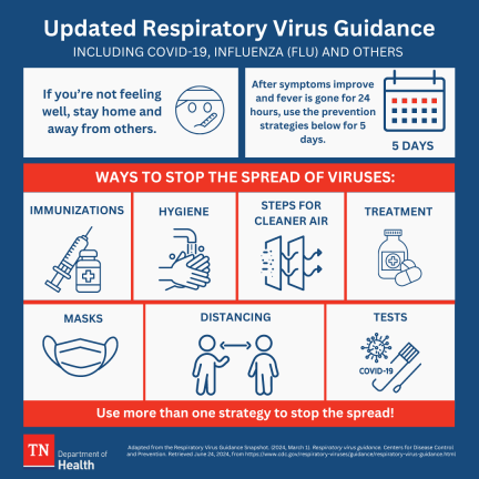 Link to visual graphic with information about respiratory viruses, with information on prevention and stopping the spread of viruses to others..